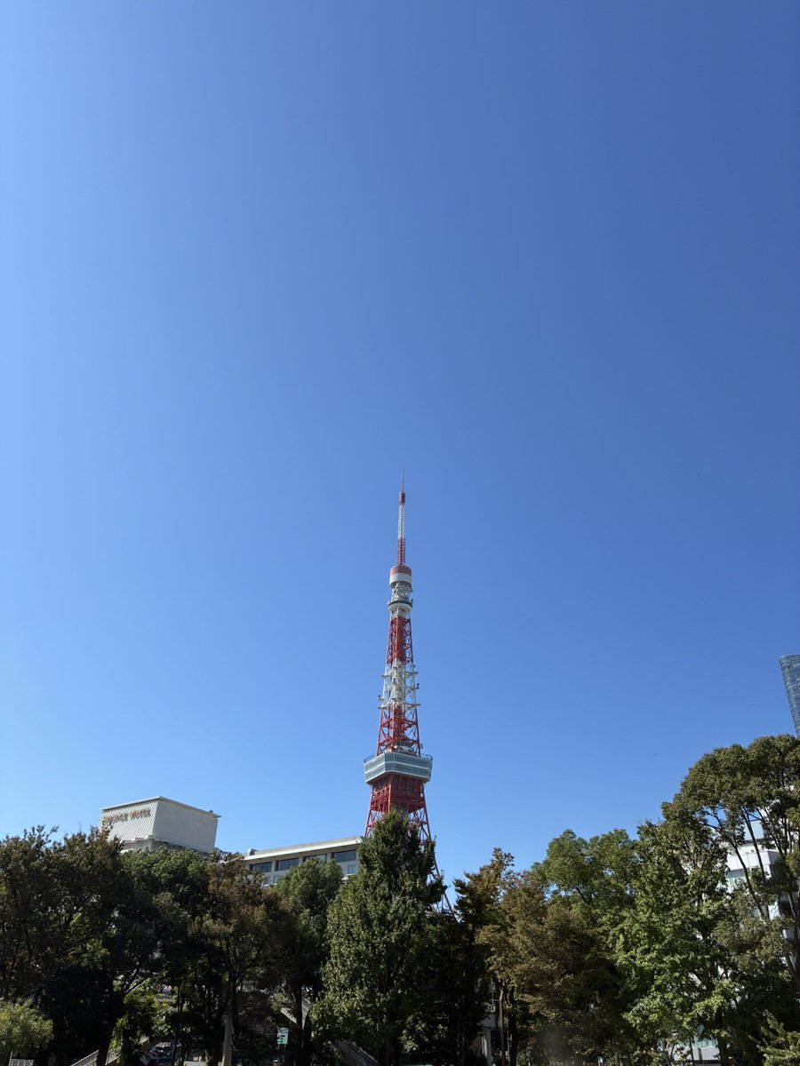 CleanupFrontier's tweet photo. グリーンプロジェクト
毎月第三日曜は
芝公園4号地クリーンナップ&amp;グリーンプロジェクト
今回は高校生と小学生の姉妹2人が親の進めで初参加しました
メンバーも3名が体調不良で欠席の中
とても精力的に花苗植えをしていただきました
今回は5人でシロタエギクと金魚草を2つの花壇に植えてきました https://t.co/MHyvvBD536