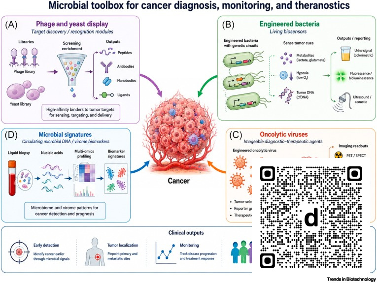 TrendsinBiotech's tweet photo. Online now: Microbes as a programmable toolbox for cancer diagnosis, monitoring, and theranostics dlvr.​it/TVyf8f https://t.co/SvwFMbOoip