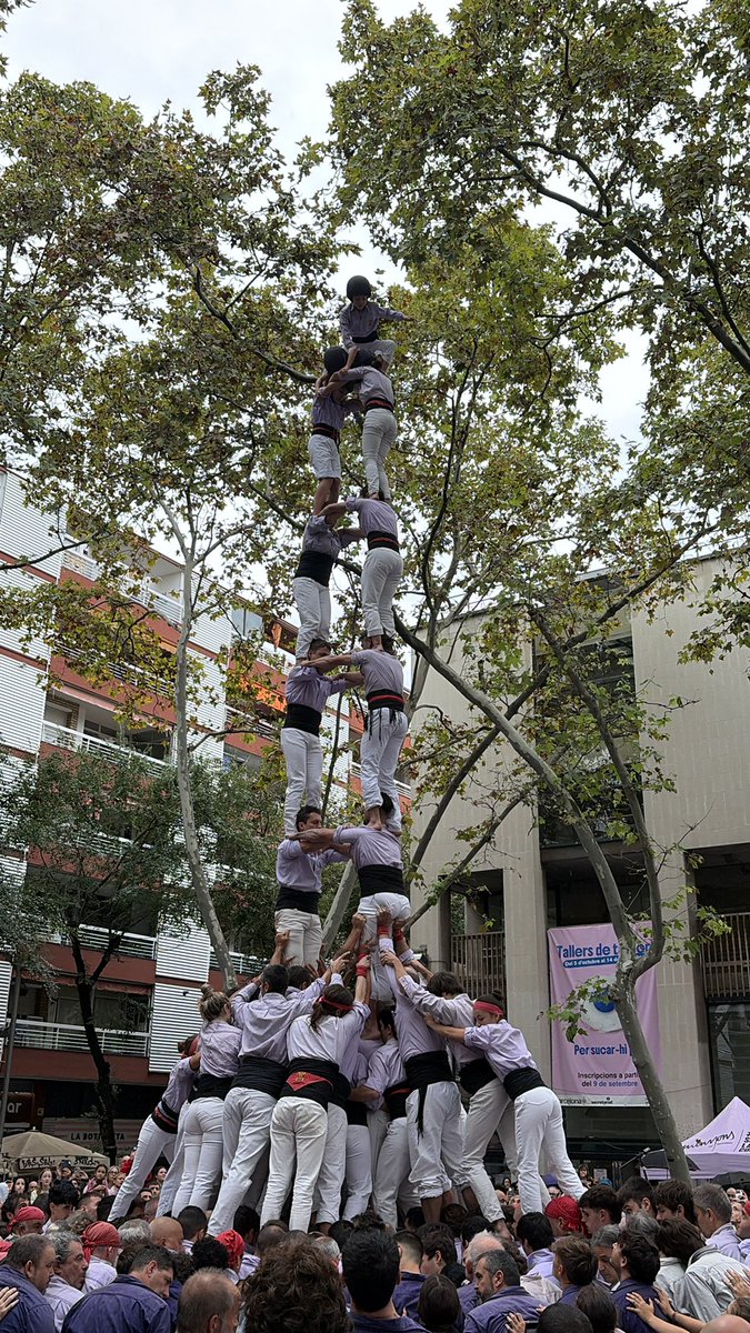 Minyons's tweet photo. Aquest migdia hem actuat a la Diada dels Castellers de Sants a Barcelona, on hi hem descarregat:

✅ 2de8f, 3de9f, 4de9f, 2Pde5+2Pde4

Moltes gràcies @borinots i @capgrossos pel bon ambient i per l’ajuda a les pinyes!

#castells #TardorMalva #terrassa #forçamalva #somlacolla https://t.co/vhvEmWyjHo
