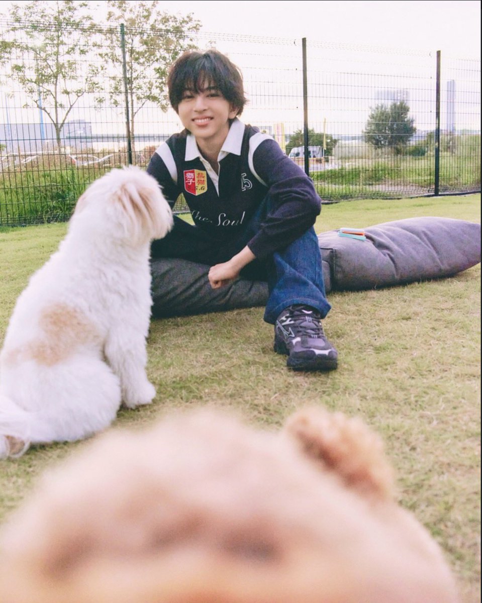 ___kqll's tweet photo. いぬといぬが戯れてて癒しだ😌茶髪ふわふわ八神かゎぃすぎる✨️ https://t.co/YxGqpgno0d