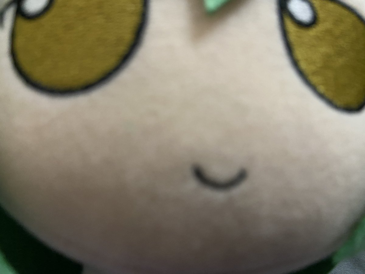 mizuki_kosot's tweet photo. さ)ふもっ！

ちかいちかい

さ)やってきましたよ、ふもっ！ https://t.co/TIaX3Sfy6X