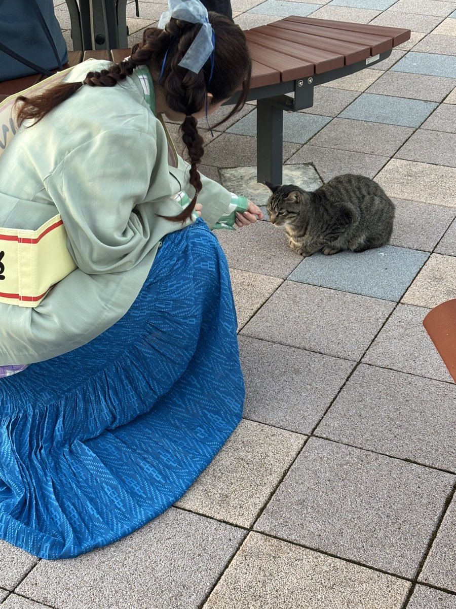 eriko_co_log's tweet photo. #マチアソビ 疲れなくおつかれさまでした！

つぶやくいとまのないほどに、充実した3日間でした。
実は、ステージ以外にも撮影諸々しておりまして…🎥 近いうちに公開される？かと！
いまは、眉山山頂からの絶景と🐱様にご挨拶する大使の背中をお届けします
どちらも最高の景色でした 笑 https://t.co/6xIzNodUkg