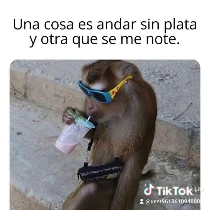 chela_tucumana's tweet photo. https://t.co/sLnxCDJsaQ