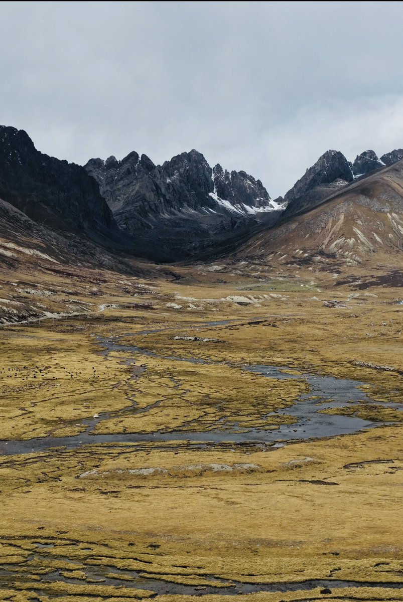 TylerlionRichma's tweet photo. Would you like to go there? https://t.co/2HaD02Ka0v