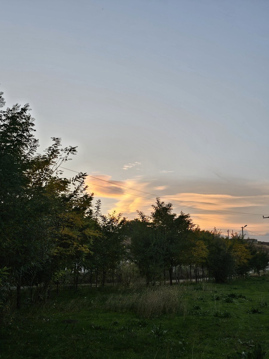 celikader_ tweet picture