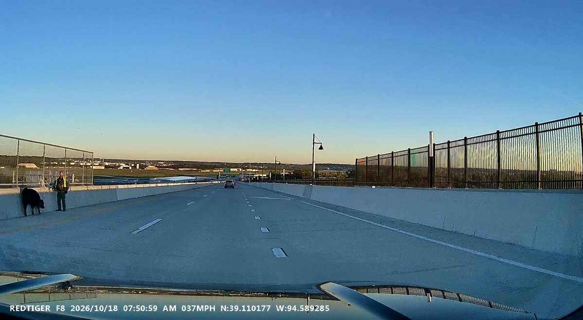 EricGravesKMBC's tweet photo. COW UPDATE: Looks like a Clay County deputy has rounded up a loose cow on the Buck O’Neil Bridge. This is a few miles from where cows escaped a semi after a crash this morning. @kmbc’s Dana Dieterle captured this on a dash cam. https://t.co/rzLfnRAigs