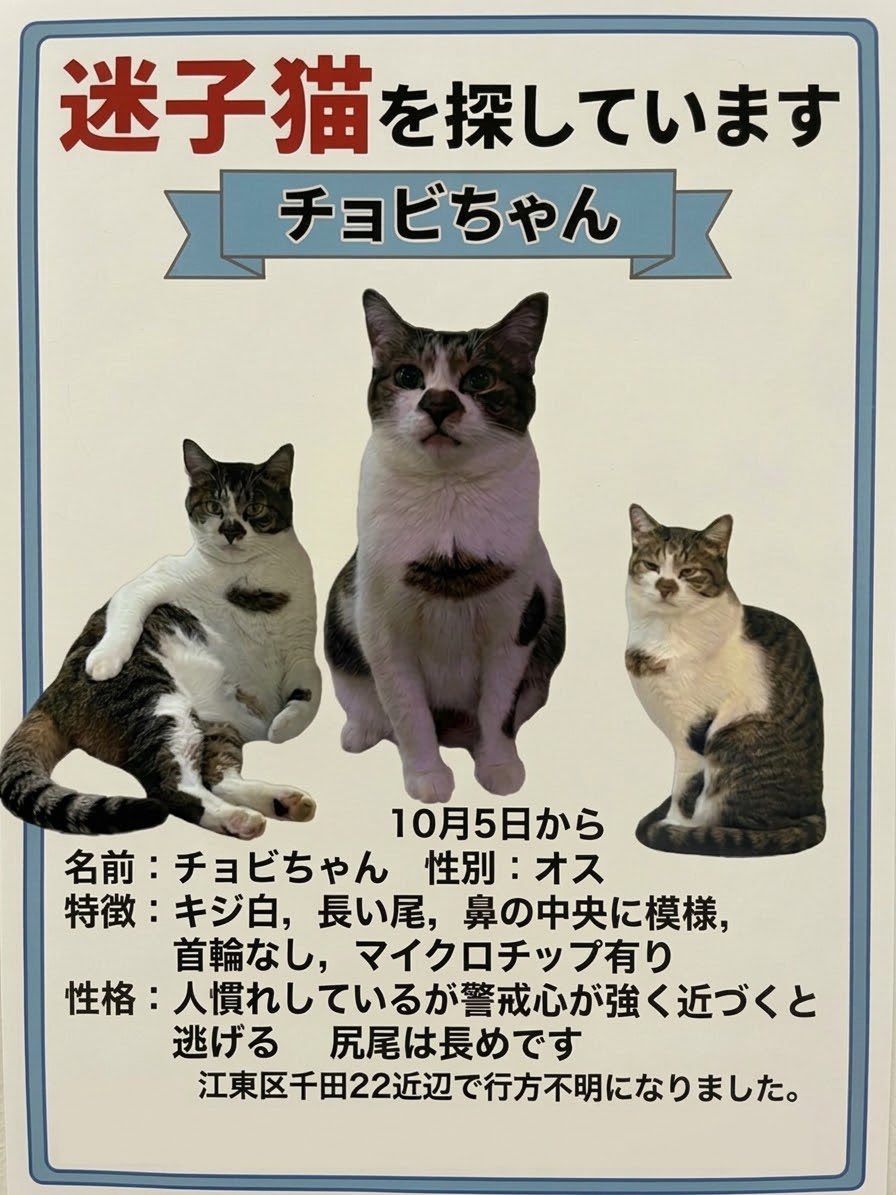 vbu6r4's tweet photo. #迷子猫
#江東区
#海辺
#千田
迷子猫の情報です😢
見かけたなど些細な情報でも構いません！
すごく人懐っこいので誰か様の家に上がり込んでるかもしれません😭
見かけた方は些細な情報でもお願いします🤲 https://t.co/yLCmIHSSeV