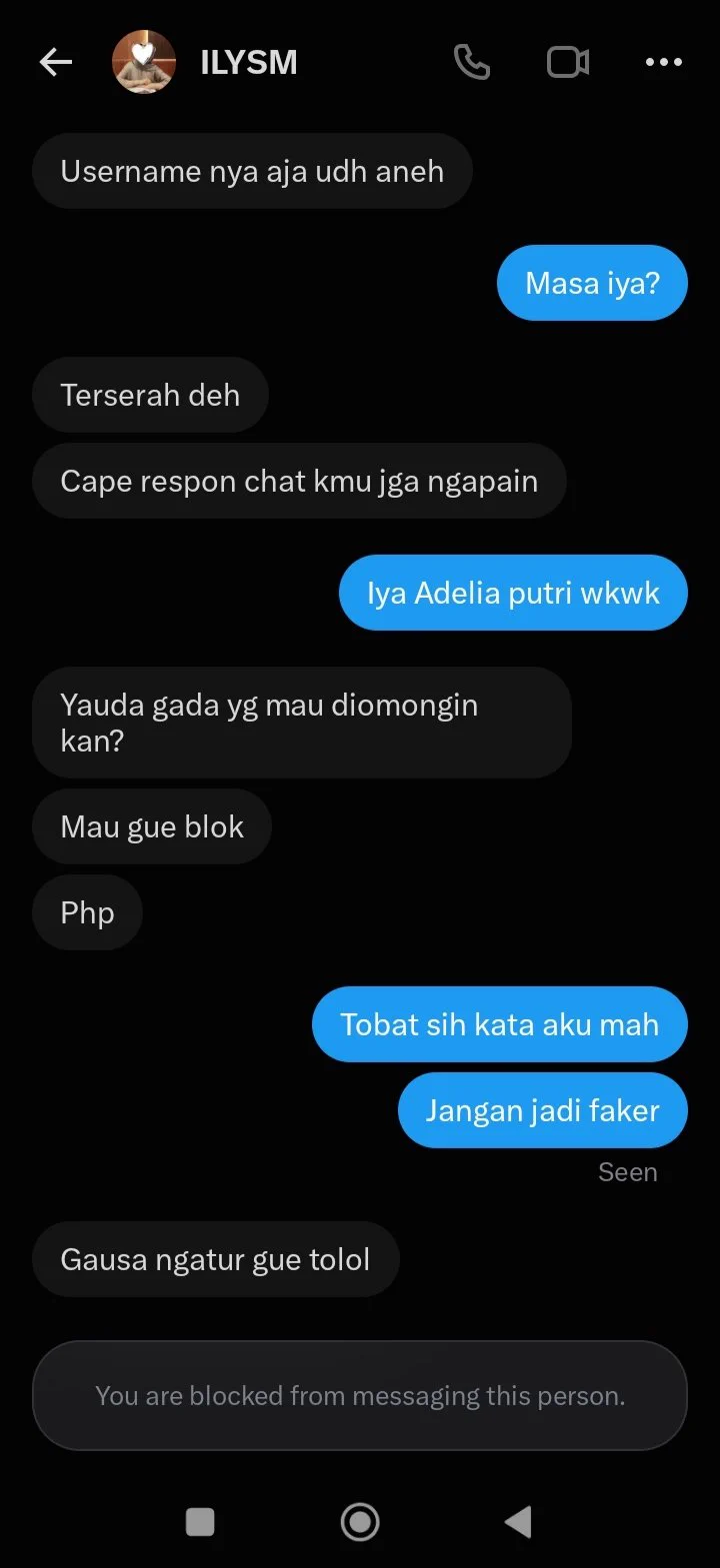 Alphacat 😼 on X: 