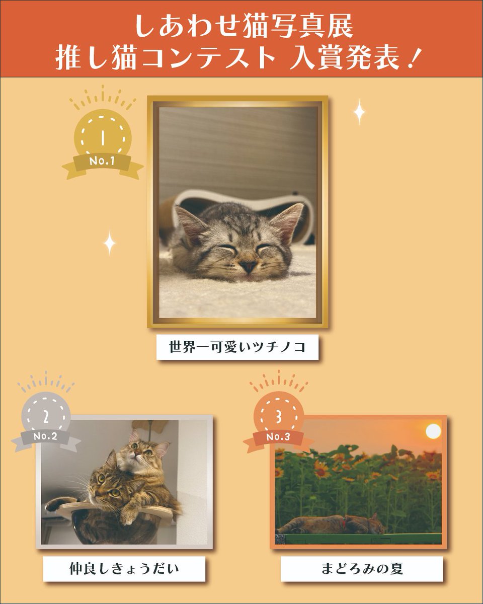senganen's tweet photo. ˗ˏˋ しあわせ猫写真展 お楽しみいただけましたでしょうか🐾 ˎˊ˗
会場へ足を運んでくださった皆さま、ご応募くださった皆さま、ありがとうございました🐈
多くの票と温かいコメントが寄せられ、猫への愛情が伝わる展示となったこと、嬉しく思います🐾

またの開催時には、ぜひご応募、ご来場ください♪ https://t.co/dAGmINfX1J