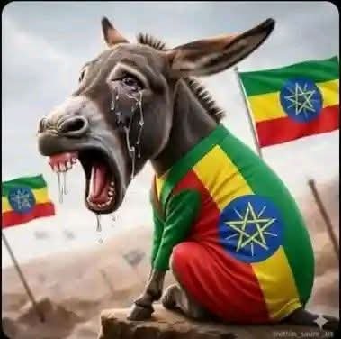 G_gmal600's tweet photo. @EthiopiaArabic1 https://t.co/bapti9vrnw