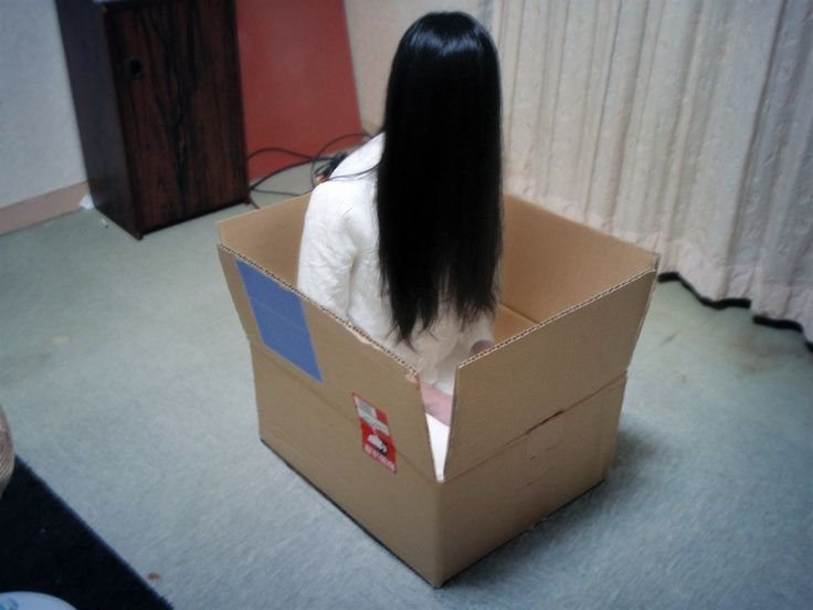 7DAYWELL's tweet photo. She be in a box ! . https://t.co/eqtAOf4E3p