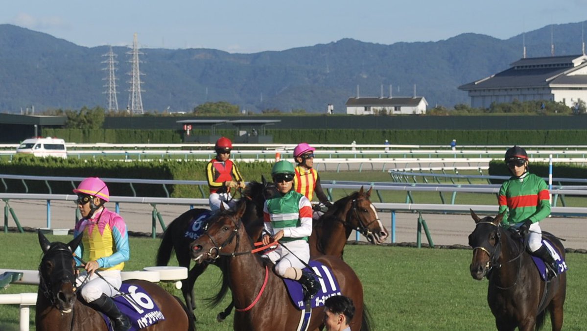 Lefyson's tweet photo. ガーネットフレアは秋華賞で11着でした。

レースはモンローウォークの気配を後ろで感じる4番手の位置でハイペースを追いかける形になり、最後は脚を使えませんでしたが、1:57.6の時計で走れたことは素晴らしかったですし、これが良い経験になると嬉しいです☺️

本当にお疲れ様でした😄 https://t.co/JJmAFSs3w2