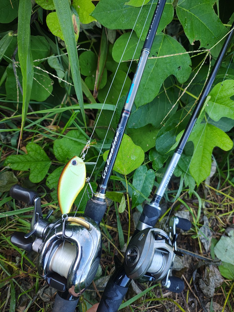 Massa94744152's tweet photo. 朝から友人とバス釣り行ったが

2人ともNO FISH🎣🌚

左側が愛用の初代アンタレス
（ナイロン10号ラインで針を伸ばす！）

右は友人愛用のアブレボ+エアエッジ

2人とも古いタックルだ（笑）

ちなみにこの2つは重量差が凄いです

初代アンタレスは重い

然しそこが良い😝✨️

#バス釣り
#熊本 https://t.co/mbDjr750ea