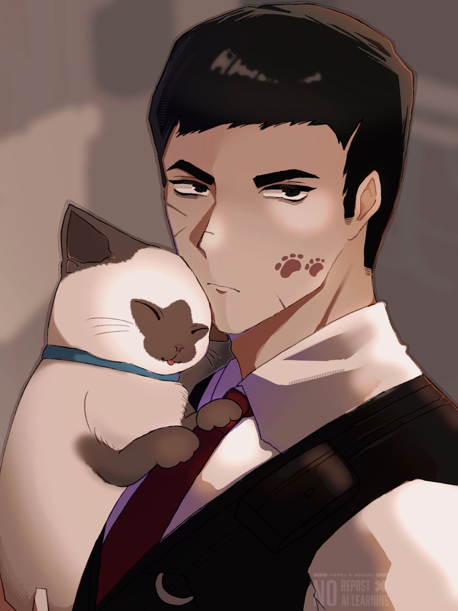 cuj0n's tweet photo. 【迷い猫 探してます】 https://t.co/KsRBYn5hDZ