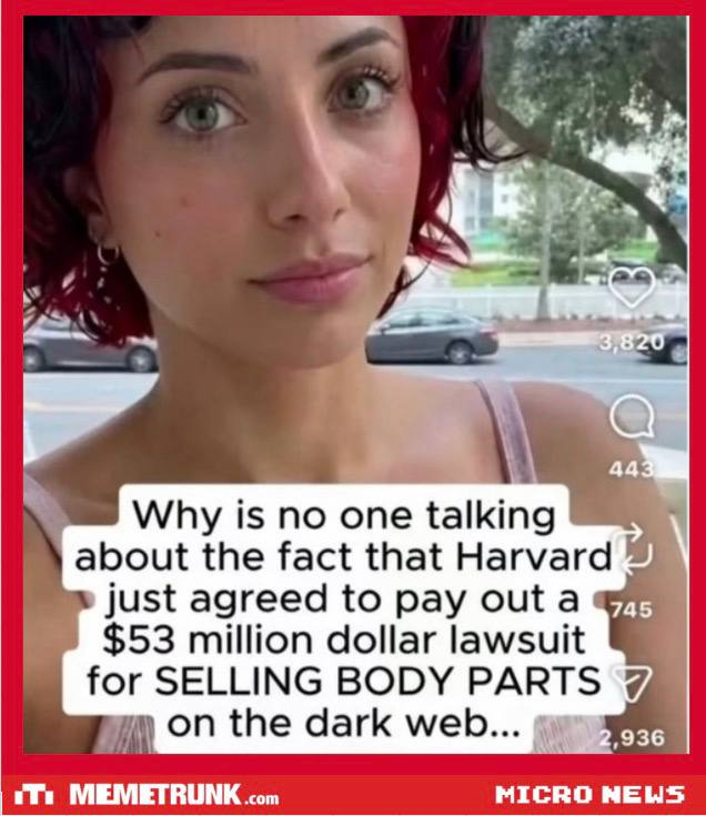 PhilomenaGrady's tweet photo. Why is no one talking about this ? https://t.co/tnl61AFUQl