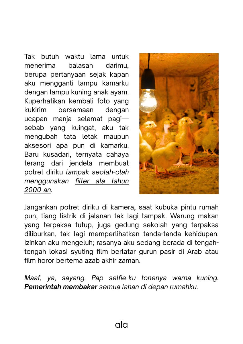 jecaals's tweet photo. Maaf, ya, sayang. Pap selfie-ku tonenya warna kuning. Pemerintah membakar semua lahan di depan rumahku.

#IndonesiaButuhOksigen https://t.co/FrJhcsxpvP