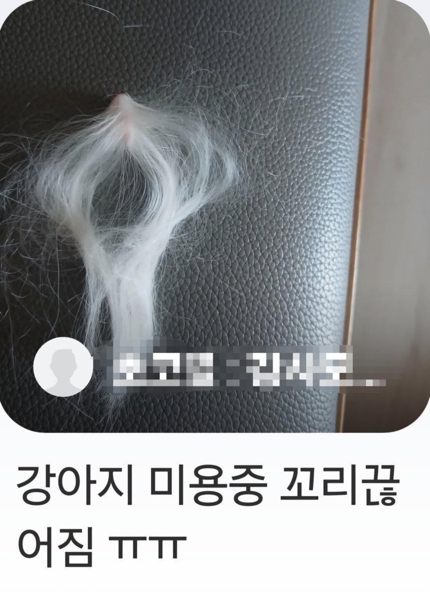 ranunsday's tweet photo. 방금 네이버 메인에서 이걸 봤는데 내가 당사자도 아닌데 너무 떨려
어떡해 https://t.co/cdDntQ24Va