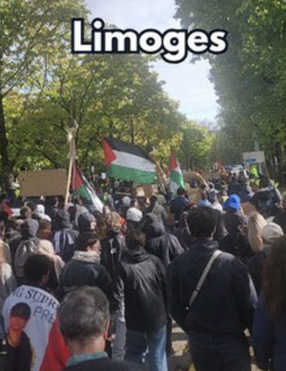 Eliseh5v's tweet photo. @narindertweets What on earth has the flag of a foreign Middle Eastern country (shown in the pictures you shared) got to do with student conditions in France - genuine question?? https://t.co/ndago34qcW