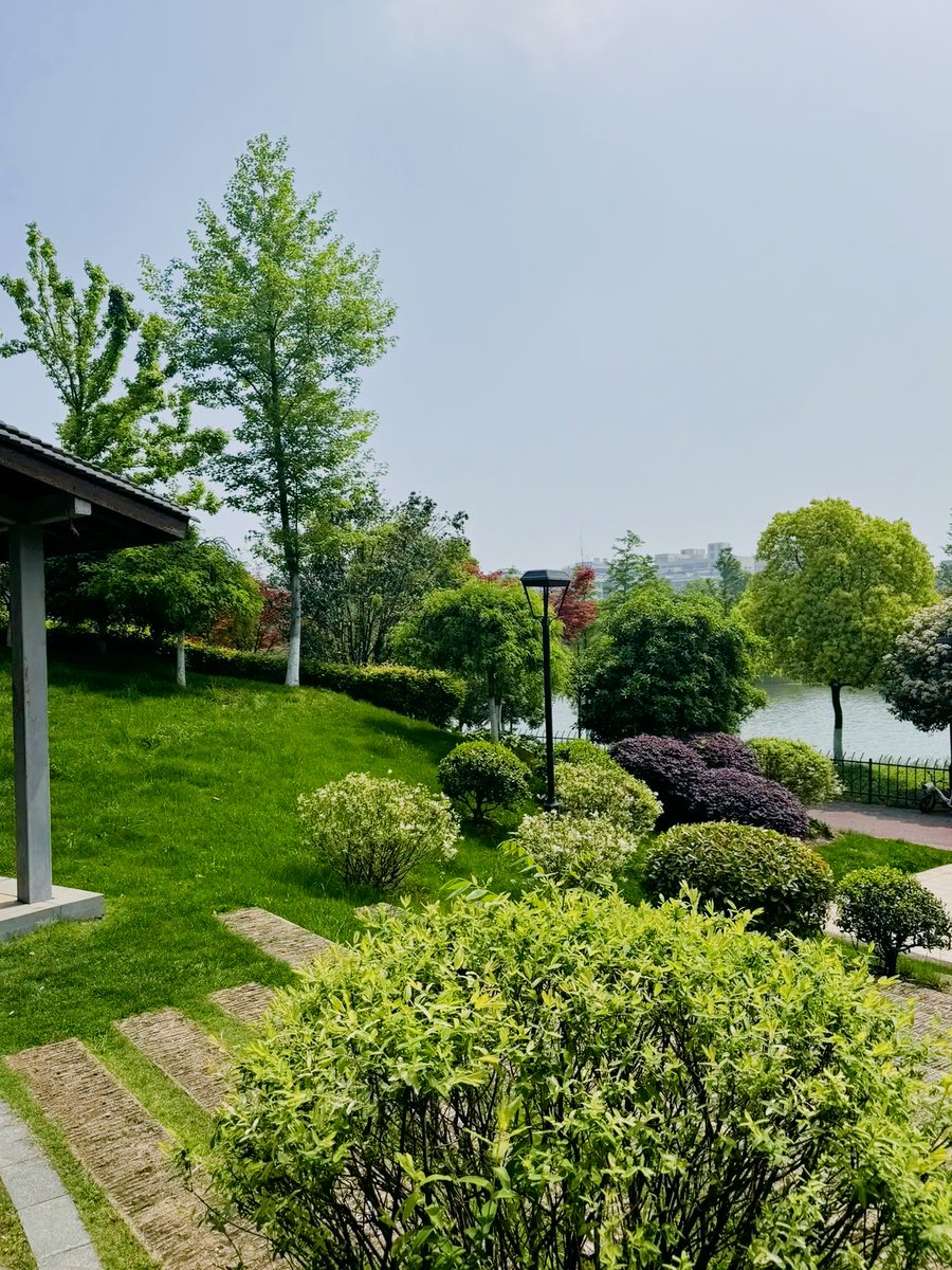 Dabin00426364's tweet photo. [今日散歩中に噶白荒を発見！自然の中の神秘的な光景に心奪われた]， https://t.co/CeLoPwF3eT