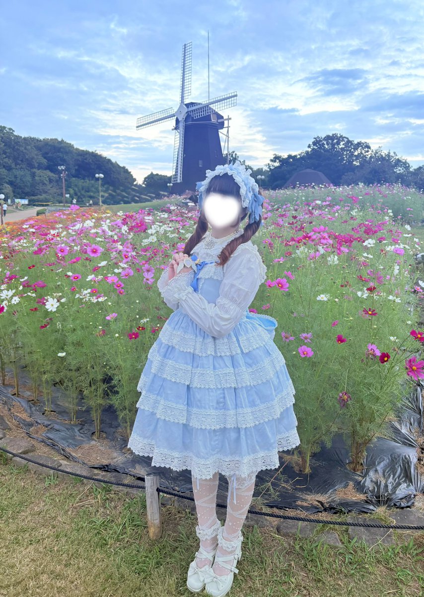 tart0304's tweet photo. 午後からは鶴見緑地にてピクニック🧺

ジニアとコスモスが見頃でテンション上がった...！💐🩷
エリザベスジャンパースカートがめちゃくちゃ映えた✨️ https://t.co/Jy4UrKu82s