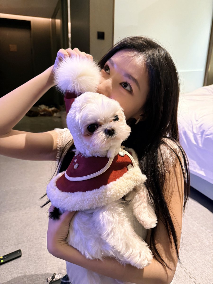 KooTimLoe's tweet photo. #ChengXiao #程潇 https://t.co/1Aarn82wqL