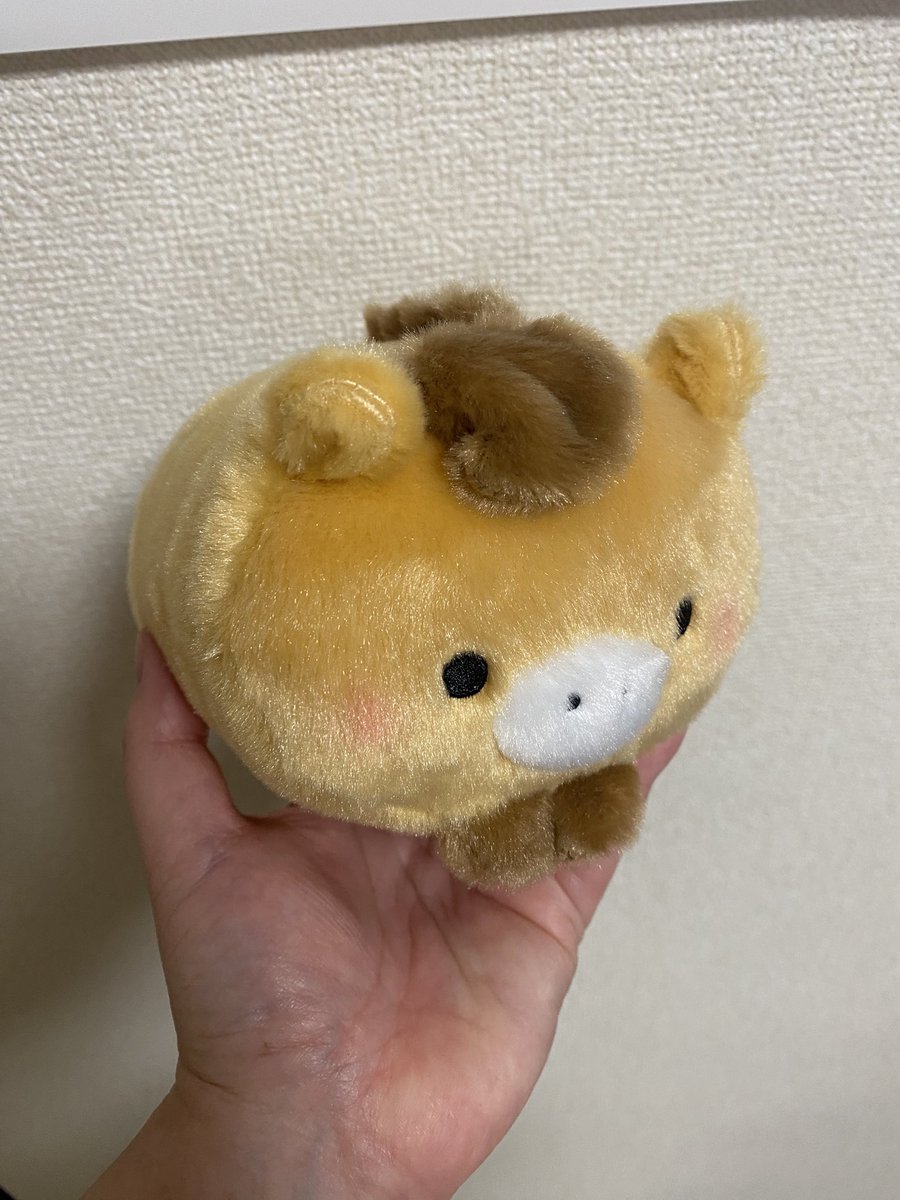 skymelody_67's tweet photo. 先週取れなかった、かわいいうまさん取れたー！！スタッフのお姉さんが、倉庫を探して連れてきてくれました😭ありがとうございます！！ https://t.co/enHBHz4Nko
