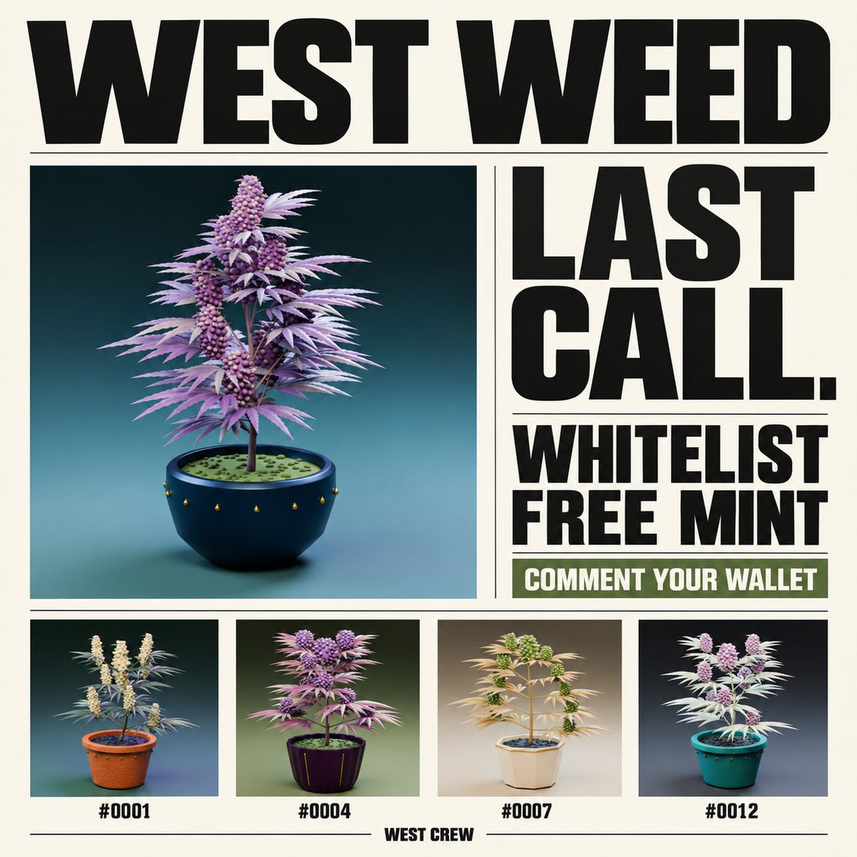 nft_westside's tweet photo. LAST CHANCE FOR WEST WEED 🌿

Your final chance to grab a FREE MINT whitelist spot.

Drop your wallet in the comments 👇

Who’s ready to grow with the CREW? https://t.co/7F38bqi5ca