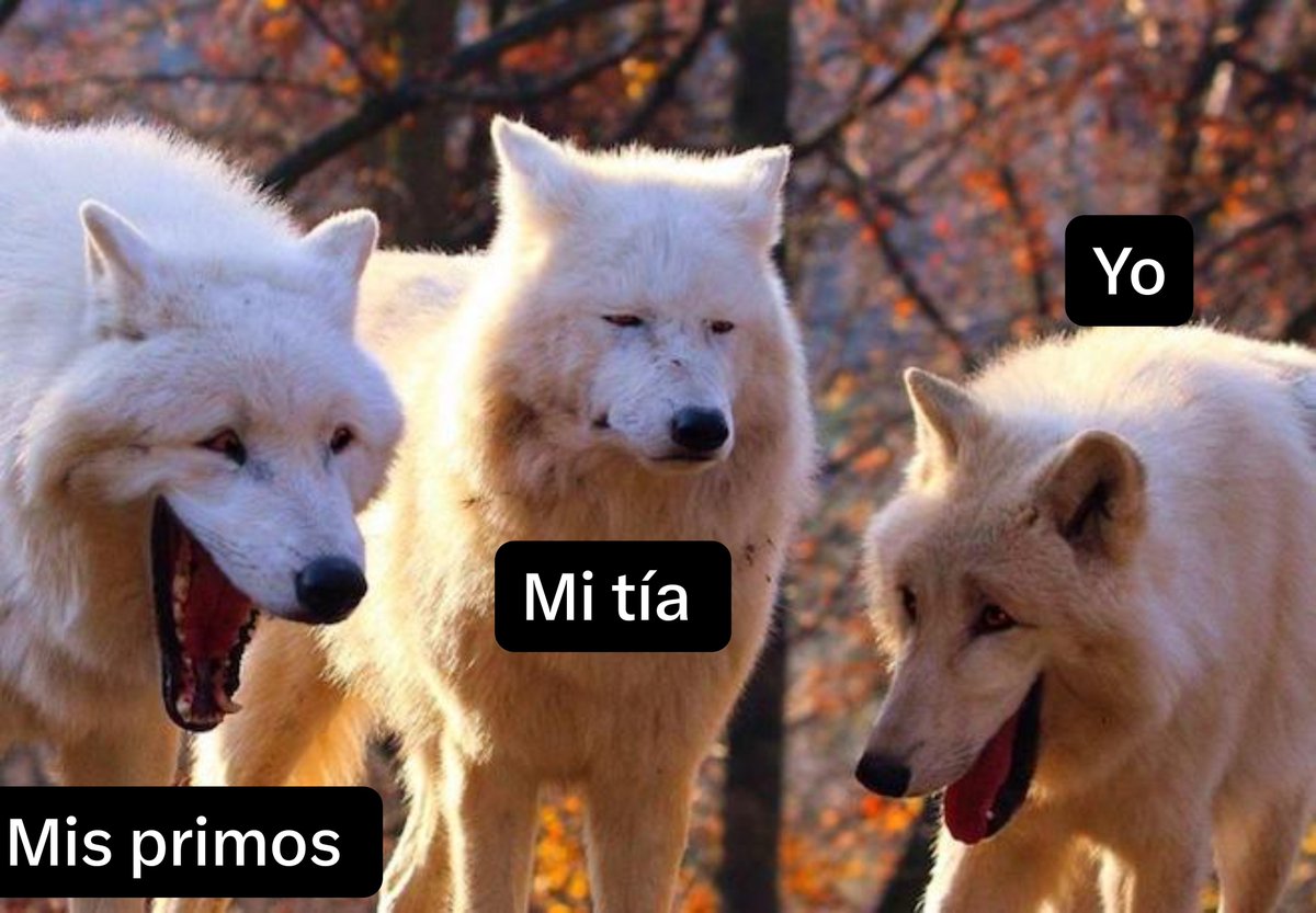ymuchosmemes's tweet photo. Estábamos hablando de que está la calle más peligrosa que antes:
Mi tía: Aun así deberías sacar más al niño de noche para que se acostumbre. 
Yo: Soy su madre no Bruce Wayne.

Tal que así: https://t.co/cDsV408Nr2