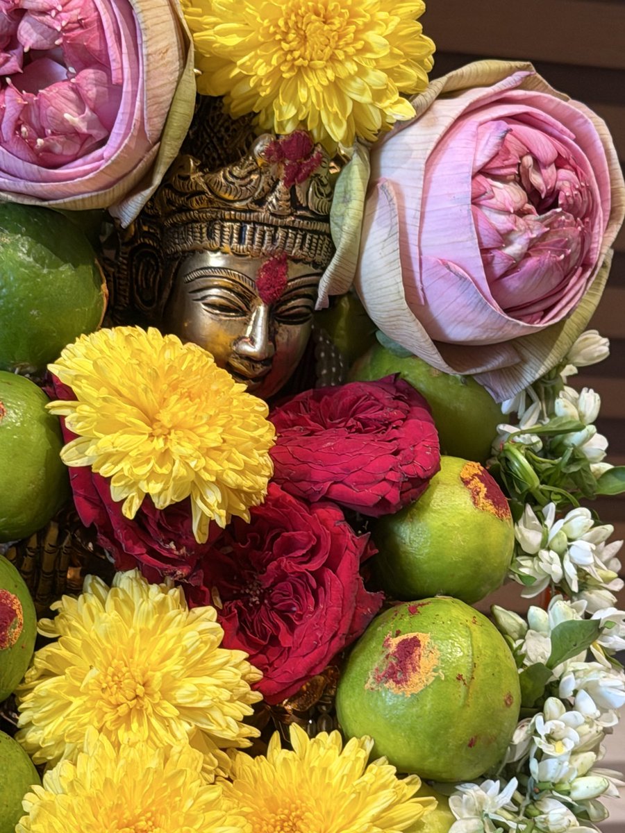 Chaitanyaniran's tweet photo. Day 8- Durga Devi https://t.co/HBQrlDP9IP