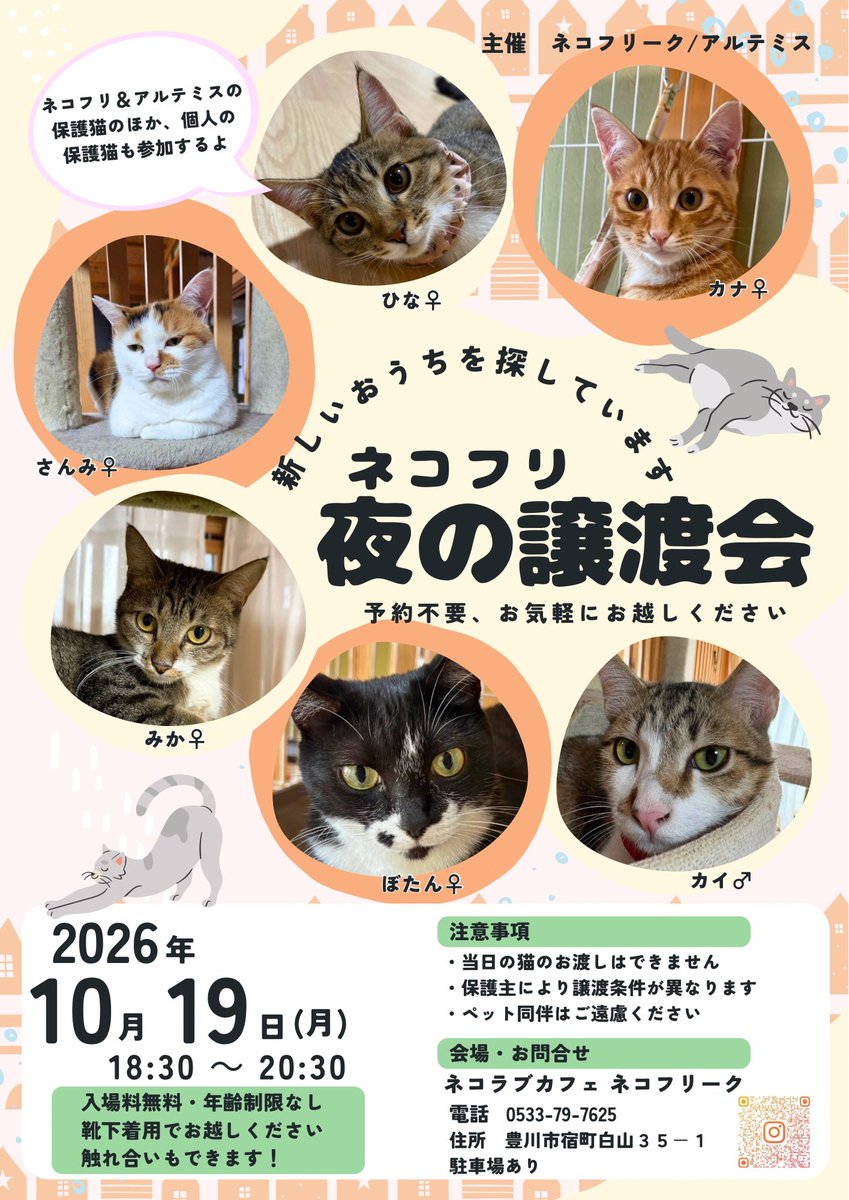 NEKOFREAK1's tweet photo. 本日もありがとうございました！
明日はお休みですが、夜は譲渡会を開催します😊
お待ちしてます！

BGMはADAM atでした🎵
#ネコフリ #ネコフリーク #豊川市 #譲渡会 https://t.co/Ltku8OOgYM