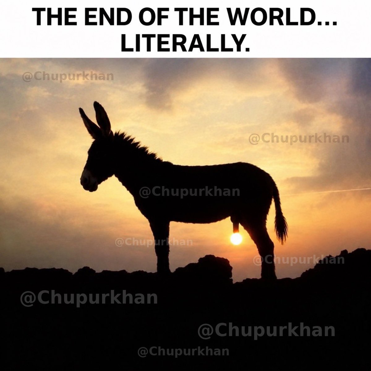 Chupurkhan's tweet photo. @SprinterPress https://t.co/DrHi9v9OSm