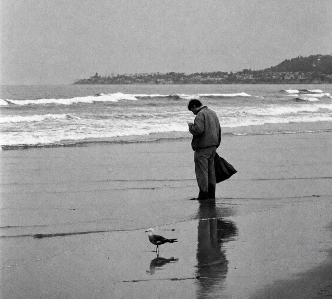sivriikalemler's tweet photo. “Yalnızlık, kimsenin seni aramamasının yokluğu değil, artık kimseyi aramak istemediğin andır.”

*- Cioran https://t.co/r9gIJ1f0rS