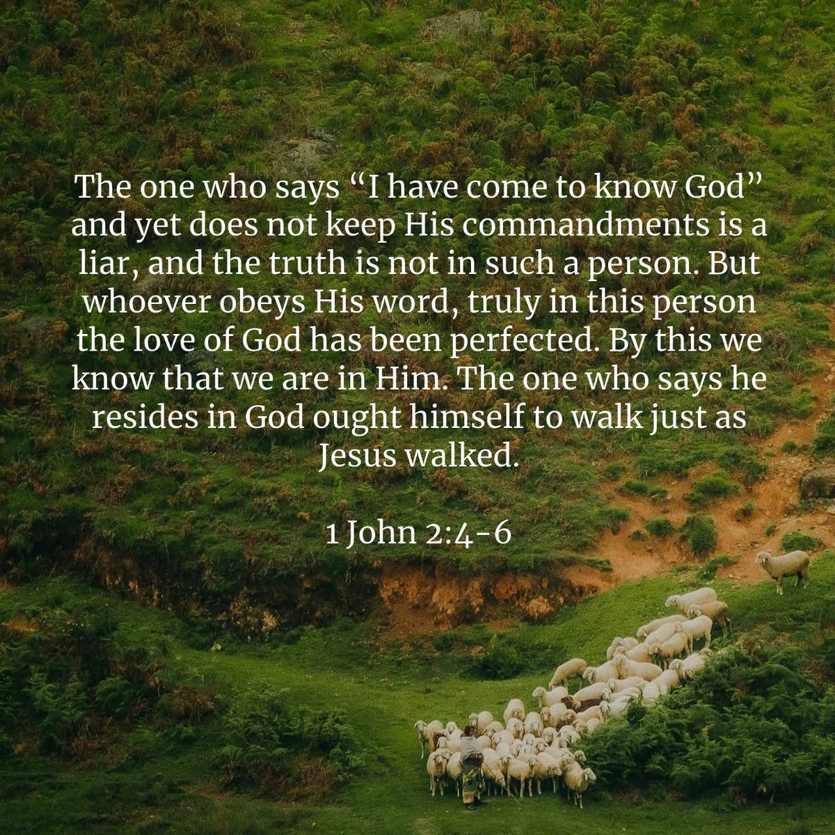 traincoachlaugh's tweet photo. #KnowingGod #KnowingJesus #WalkInHisSteps
#VerseOfTheDay #SundayScripture https://t.co/KgrSzPQ47k