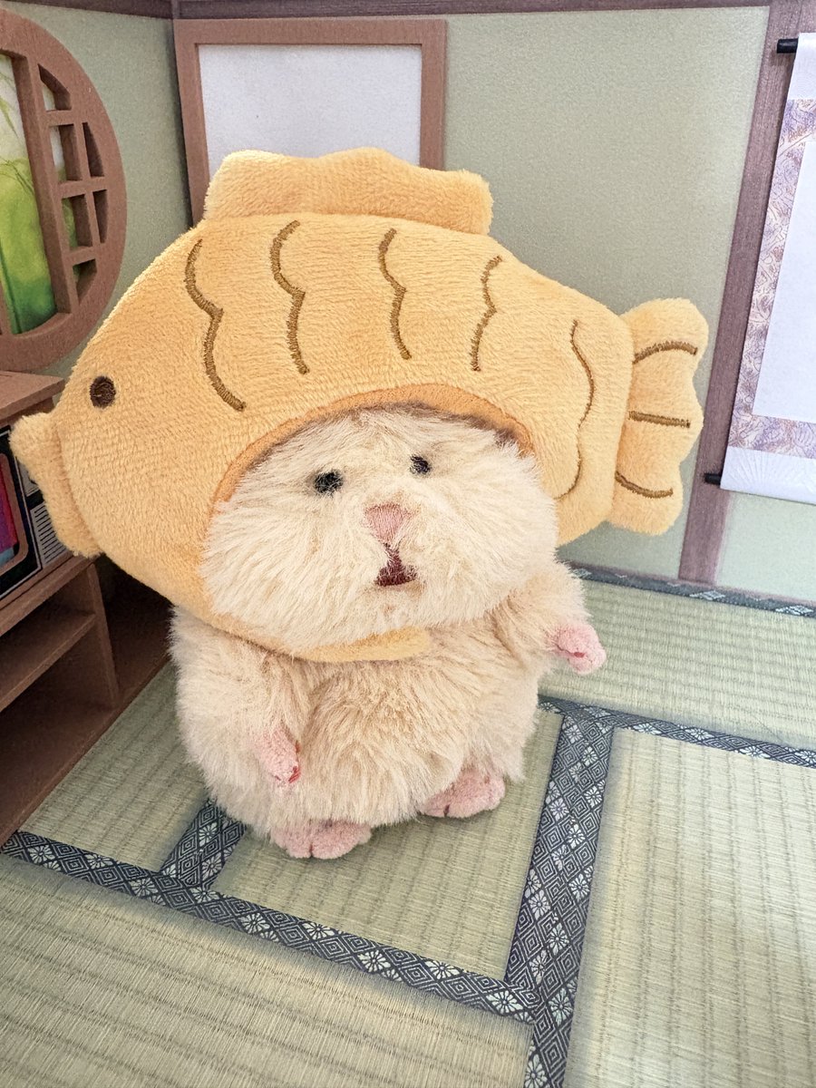 23ofumi0's tweet photo. 酔った勢いでポチッた
かぶりものが届きました🐟

 #はむにぎり https://t.co/Y5jiynWJjG