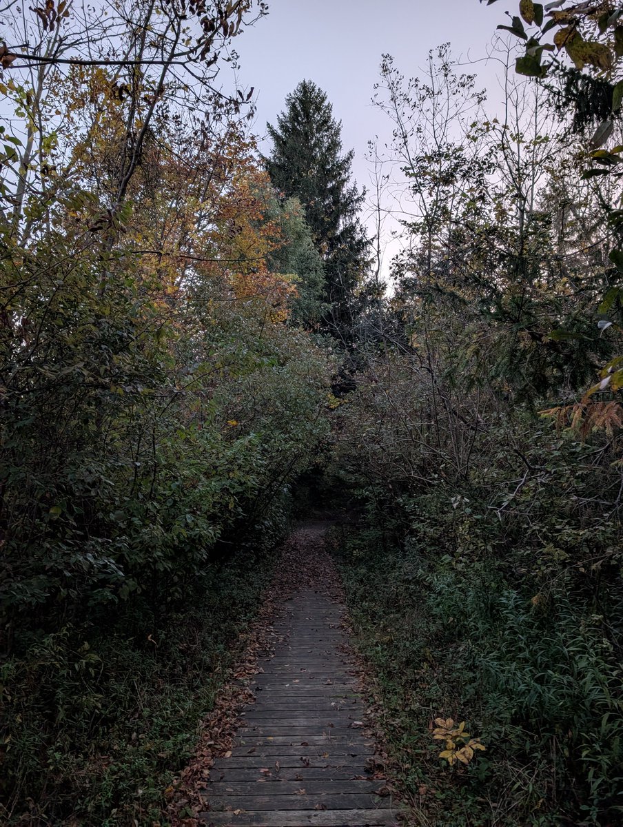 schultzmt8's tweet photo. Hiking at sunrise!  The woods can be very different just as the sun comes up. https://t.co/HTq2Qt1Vlj