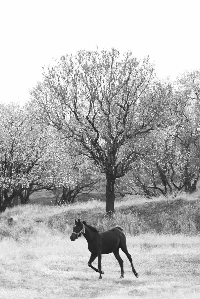 hawinakan's tweet photo. Gm!

"Born of Blossoms"  1/1 Ed   50 #tezos
⬇️
https://t.co/sHZDzdDmCZ https://t.co/NBcAzjNKQj