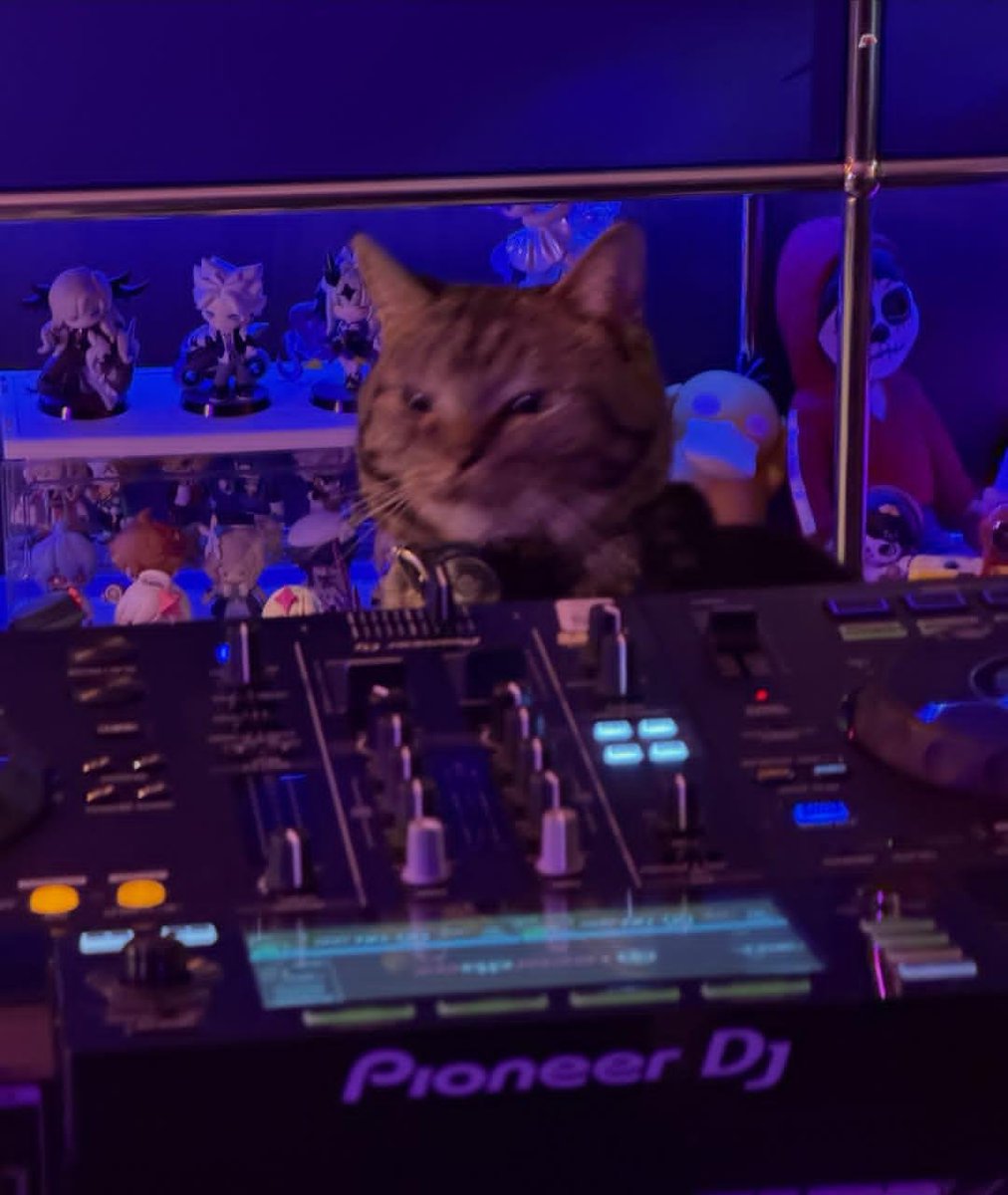 BuildSupportIND's tweet photo. — ♡ Buildurluve IG And Threads Update [18.10.2026]

My cat is cool 📀🎚️📀

 #BuildJakapan #Beyourluve
@JakeB4rever https://t.co/0Zu8opfJG0