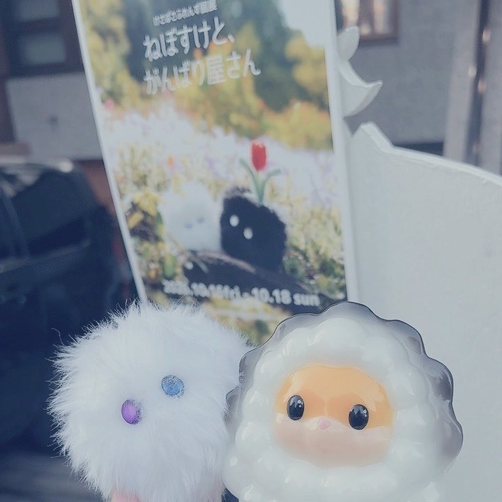 amanysos's tweet photo. 昨日はけさぱさふれんずさんの個展に行ってきました☁️

たくさんお花が咲いていて、とってもかわいい空間で癒されました🌷😌✨
ワンフェスぶりにあまがみねこさんともお話し出来て嬉しかった〜🫧

フィギュアをお迎えさせていただきました❕
フィギュアなのにふわふわな感じがすごい…かわいい〜🥰

#けさぱさ個展