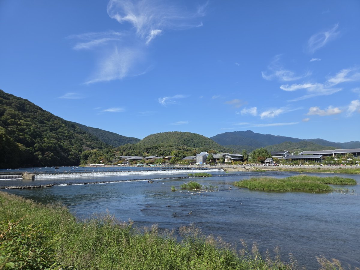 su_zu_ro's tweet photo. 渡月橋
鮎が美味そうに泳いでた😋 https://t.co/tHZBj7W7s5