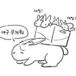 Photo by 고구마고씨 (@dnfla67648)
