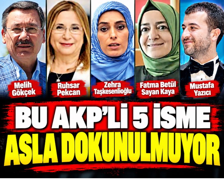devrimneferi5 tweet picture