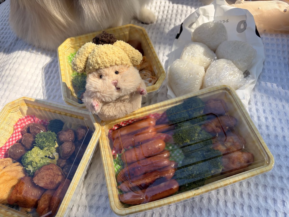 norimimi33's tweet photo. ピクニック❗️
オイラはリラックマのハンバーグ❗️ʕ•ᴥ•ʔ

 #はむにぎり  #はむにぎりのいる暮らし https://t.co/yMBUPUfcD4