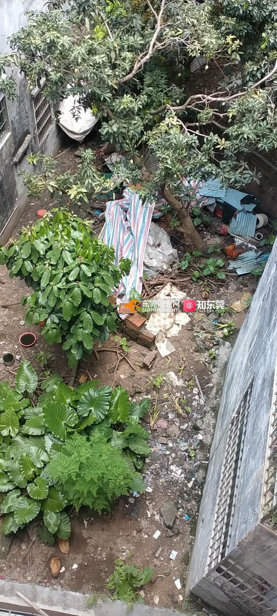wheel665's tweet photo. [Yard with messy trash – a scene that’s far from clean and makes you go "ugh"]， https://t.co/dflCmIxwDo