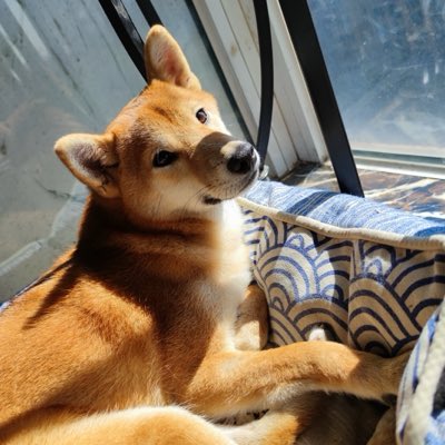 Fungusetty's tweet photo. I wonder how he’s doing https://t.co/gWMNWPenRd