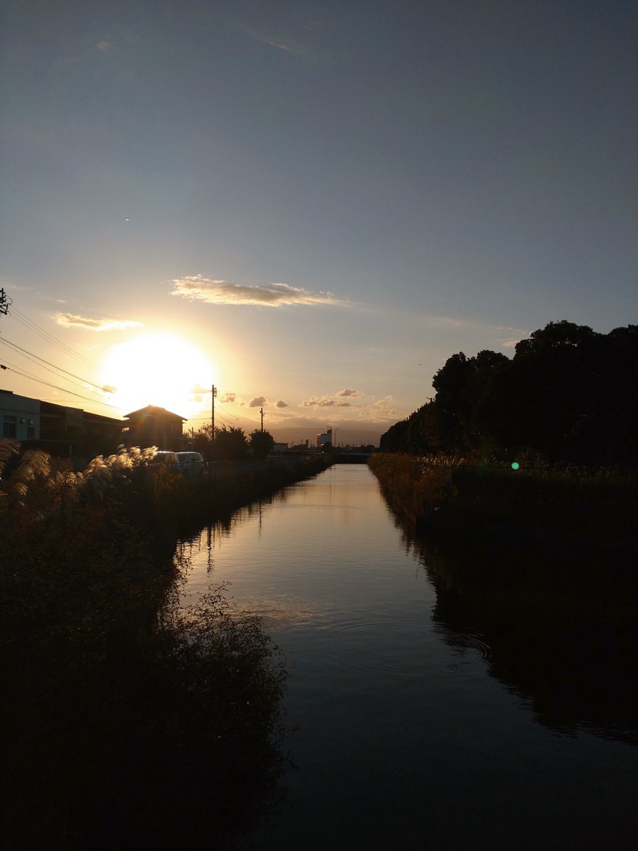takarinryo's tweet photo. 名古屋は、穏やかな晴れの1日でした。
飼っているメダカ君たちもエサを食べる量が減ってきました。
いよいよメダカ業界も冬支度かな。
人間業界は、今年はやって来た「秋」を満喫しますか。
とりあえず「空よ！」聞きますかね。
今宵もご一緒させてくださいな。ヤモリ君も空よ聞きに来た😀
#sorayo https://t.co/f7fe63dp4n