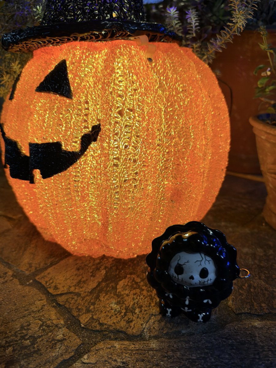 tomaTomato214's tweet photo. ハロウィン🎃 https://t.co/LqQojdyRx3