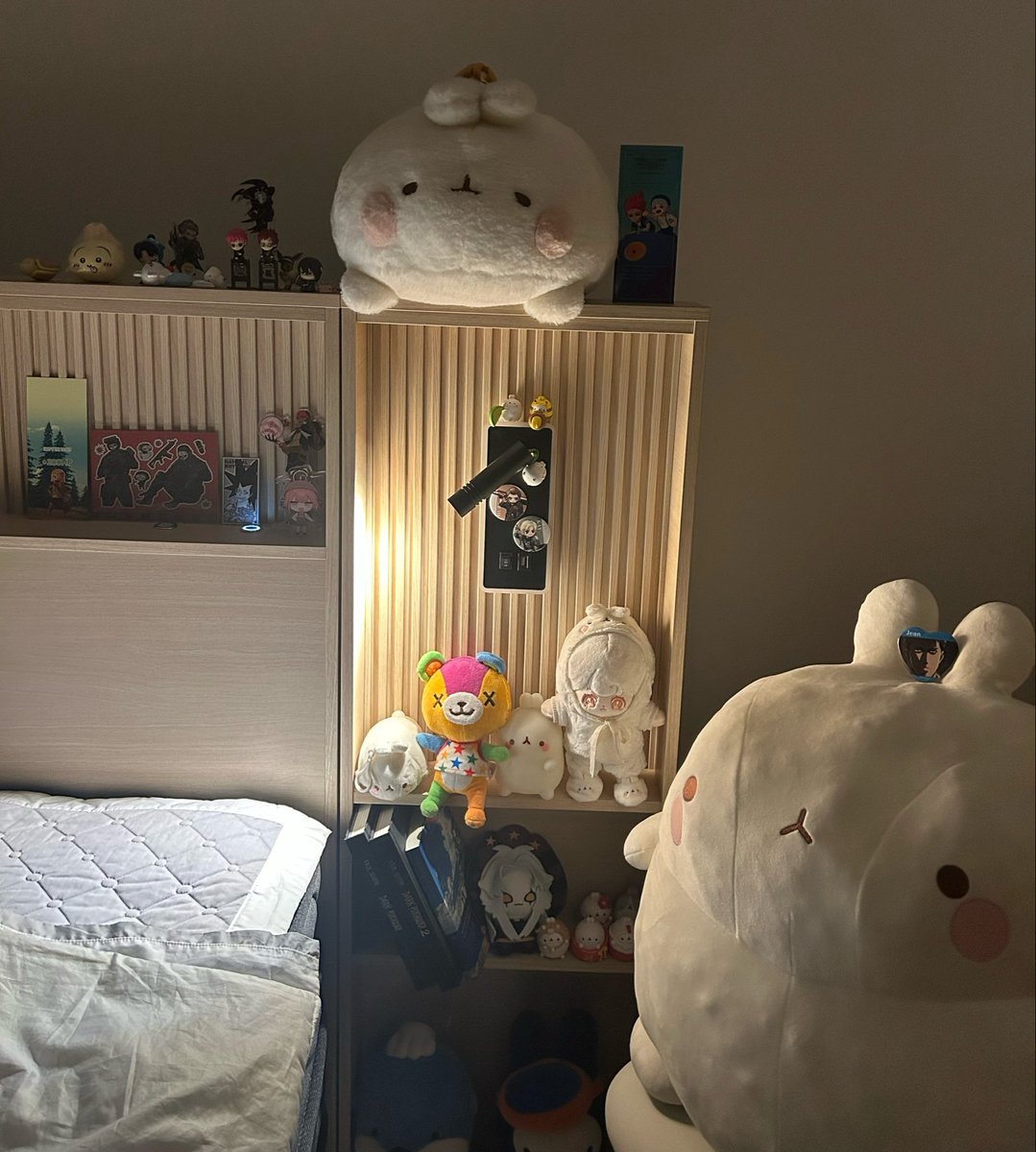 Teuger12's tweet photo. 전오수 굿즈 침대방에 가져다 놓으니 기분이 나아짐 و ( ᐛ )و https://t.co/2PwtDtlHZr