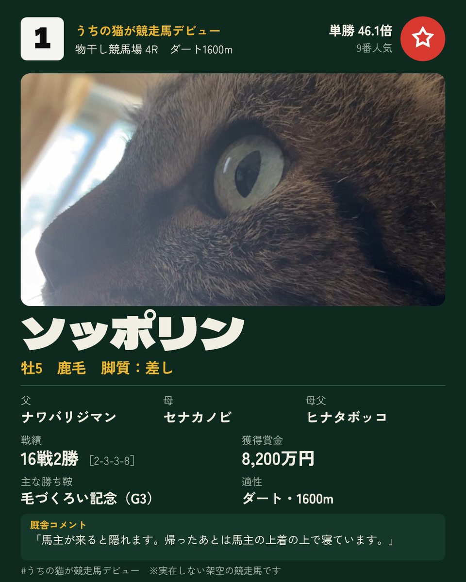 sachi1997 tweet picture