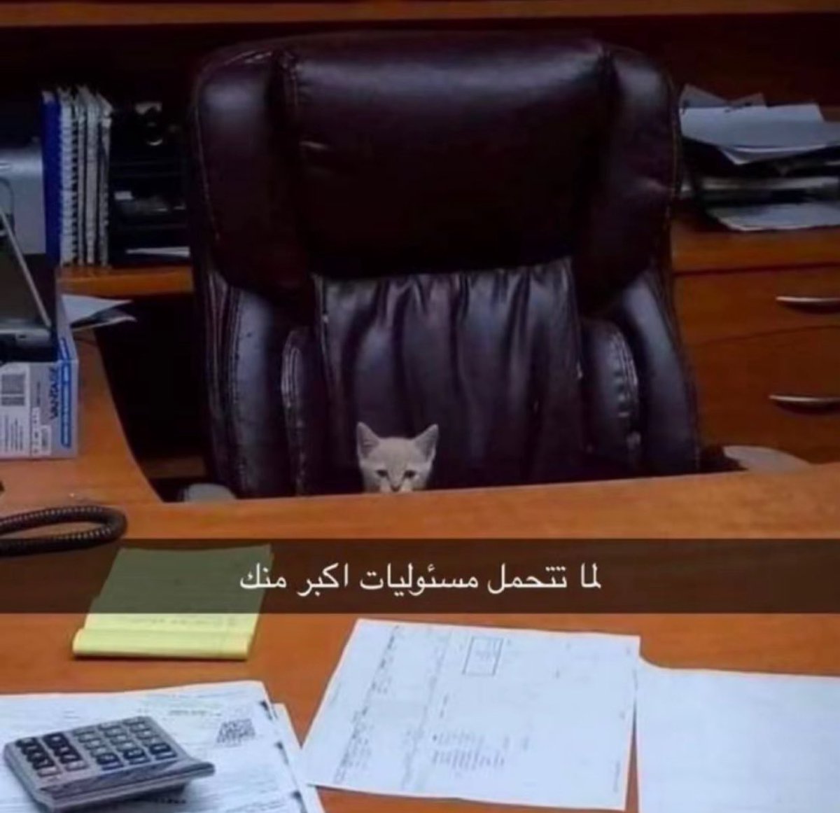 KSA1702's tweet photo. الحسابات الصفريه ؟ 

هلا والله https://t.co/n9vgLRMDuv