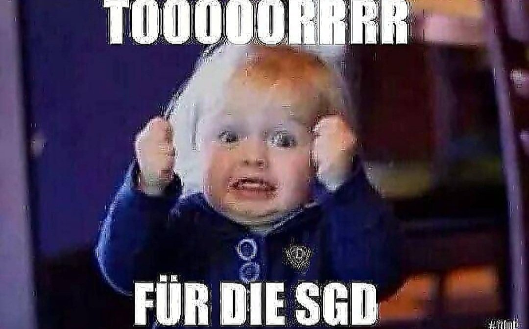 FreitalonTour's tweet photo. Jaaa..das 1:0 durchn Haupe in der 8.min #sgd1953 #ftlot #ultrasdynamo #derby #magdeburg https://t.co/TSmZx7dC00